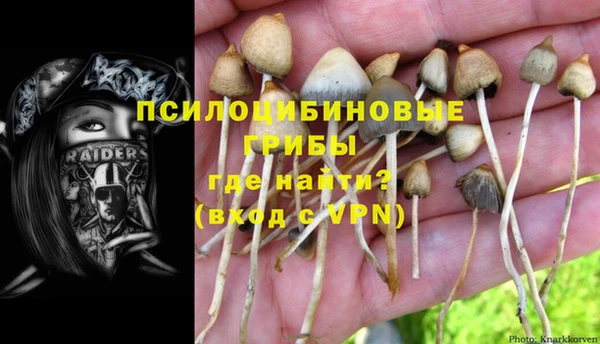 прущие крисы Семёнов