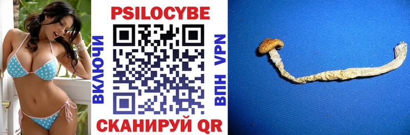 Галлюциногенные грибы ЛСД  omg как зайти  Братск  наркота 