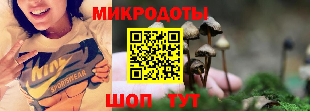 Галлюциногенные грибы прущие грибы  Вход с VPN  как найти   Братск 